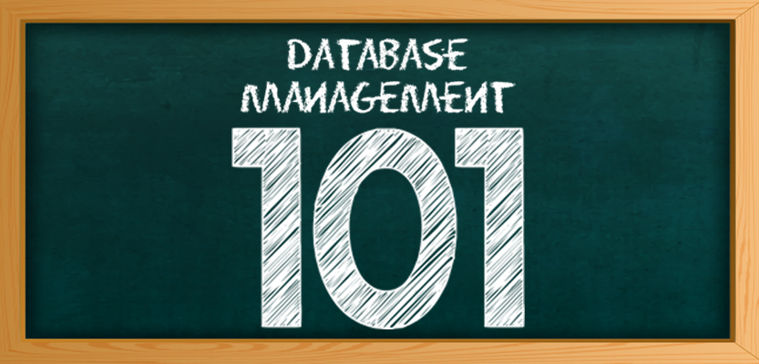 Database Management 101
