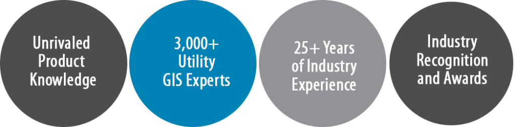 Utility Network Advantage Program