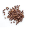 coffeebean-01 coffeebean-01