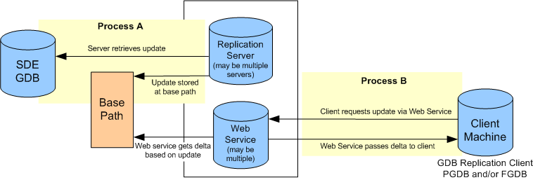 Replication Process