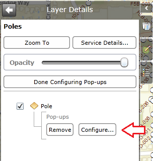 layer details
