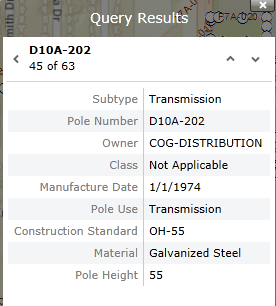 results record detail