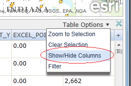Options Menu