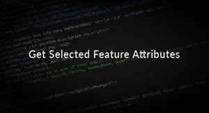 Feature Attributes